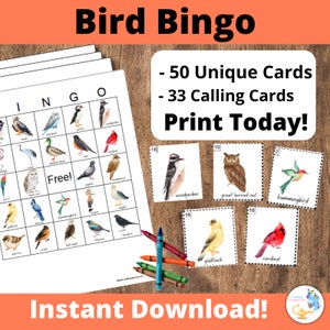 Tarjetas de bingo de pájaros: tarjetas de bingo imprimibles, juego de bingo colorido, 50 tarjetas, juegos de fiesta de té, juegos con temática de pájaros, divertido juego de pájaros para preescolar