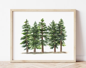 Pine Tree Watercolor Print - Forest Wall Art - Nature Home Decor