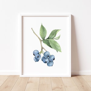 Blaubeere Kunst, Blaubeere Druck, Aquarell Druck, Blaubeere Aquarell, Aquarell Frucht