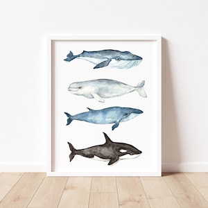 Whale Watercolor Print - Coastal Wall Art - Ocean Animal Decor