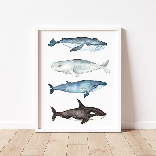 Whale Print, Whale Wall Art, Whale Watercolor Print, Blue Whale Print, Beluga Print, Gray Whale Print, Orca Print, Ocean Wall Art