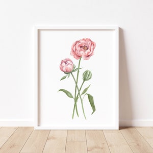 Peony Painting, Peony Print, Peony Watercolor Print, Floral Wall Art, Minimalist Wall Art