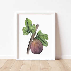 Fig Art Print, Watercolor Fruit Print, Fruit Wall Art, Fig Wall Art, Watercolor Print