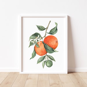 Orange Wall Art, Fruit Art Print, Watercolor Orange Fruit Art Print image 1