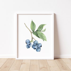 Blueberry Watercolor Art Print, Watercolor Fruit Print, Botanical Wall Art, Minimalist Art image 1