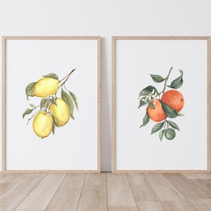 May include: Two framed watercolor paintings of citrus fruit branches. The left painting shows a branch of lemons with green leaves. The right painting shows a branch of oranges with green leaves.