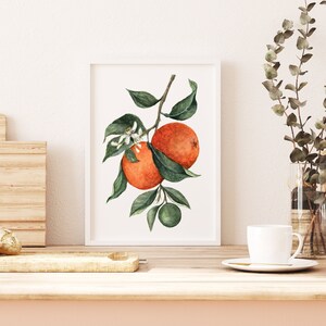 Orange Wall Art, Fruit Art Print, Watercolor Orange Fruit Art Print image 2