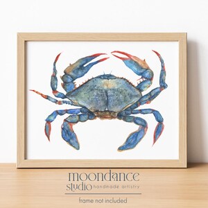 May include: A watercolor painting of a blue crab with a mottled blue and grey shell and red-tipped claws, centered within a light-colored wooden frame. The text below the artwork reads moondance studio handmade artistry frame not included.