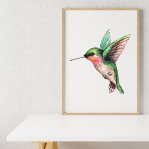 Hummingbird Watercolor Art Print, Watercolor Bird Wall Art, Hummingbird Art Print, Ruby Throated Hummingbird Wall Art image 4