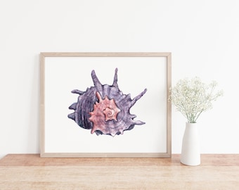 Pode incluir: Impressão em aquarela emoldurada de duas conchas. A concha maior é roxa escura com detalhes texturizados, e a menor é rosa coral. A obra de arte é exibida em uma superfície de madeira clara.
