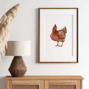 Watercolor Chicken Print - Farmhouse Animal Wall Art - Rustic Country Decor