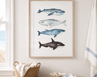 Whale Art Print, Coastal Watercolor Wall Art