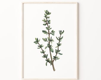 Thyme Art Print, Watercolor Wall Art, Herb Wall Art, Kitchen Art Print, Botanical Wall Art