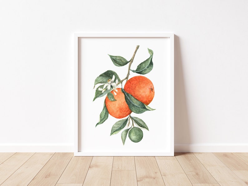 Orange Wall Art, Fruit Art Print, Watercolor Orange Fruit Art Print image 1