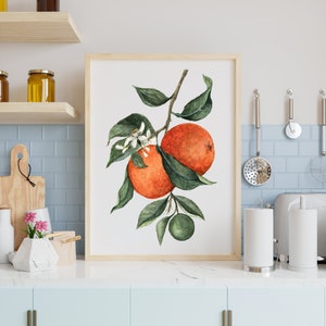 Orange Wall Art, Fruit Art Print, Watercolor Orange Fruit Art Print image 4