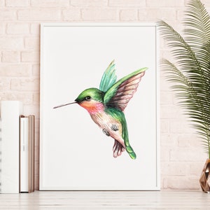 Hummingbird Watercolor Art Print, Watercolor Bird Wall Art, Hummingbird Art Print, Ruby Throated Hummingbird Wall Art image 3