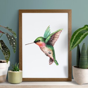 Hummingbird Watercolor Art Print, Watercolor Bird Wall Art, Hummingbird Art Print, Ruby Throated Hummingbird Wall Art image 2