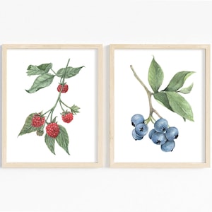 Berries Watercolor Art Prints - Fruit Wall Art - Kitchen Decor Gift