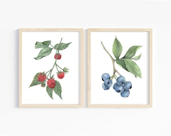 Berries Watercolor Art Prints - Fruit Wall Art - Kitchen Decor Gift