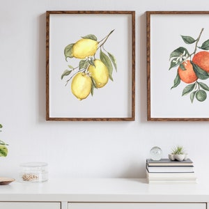 May include: Two framed watercolor paintings of fruit branches. The left painting shows a branch of lemons with green leaves. The right painting shows a branch of oranges with green leaves.