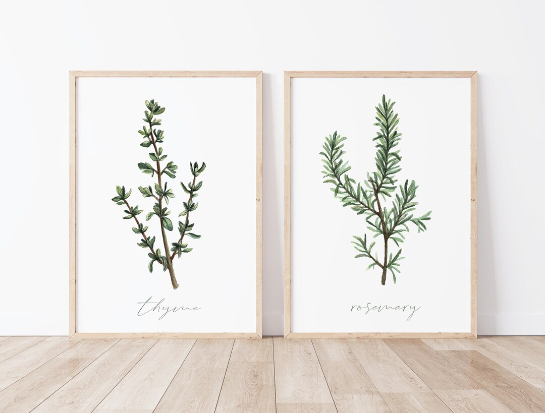 Herb Print Set - Thyme & Rosemary Watercolor Art - Kitchen Wall Decor ...