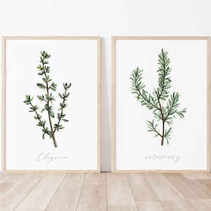 Herb Print Set - Thyme & Rosemary Watercolor Art - Kitchen Wall Decor