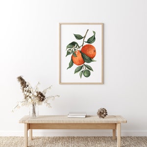 Orange Wall Art, Fruit Art Print, Watercolor Orange Fruit Art Print image 3