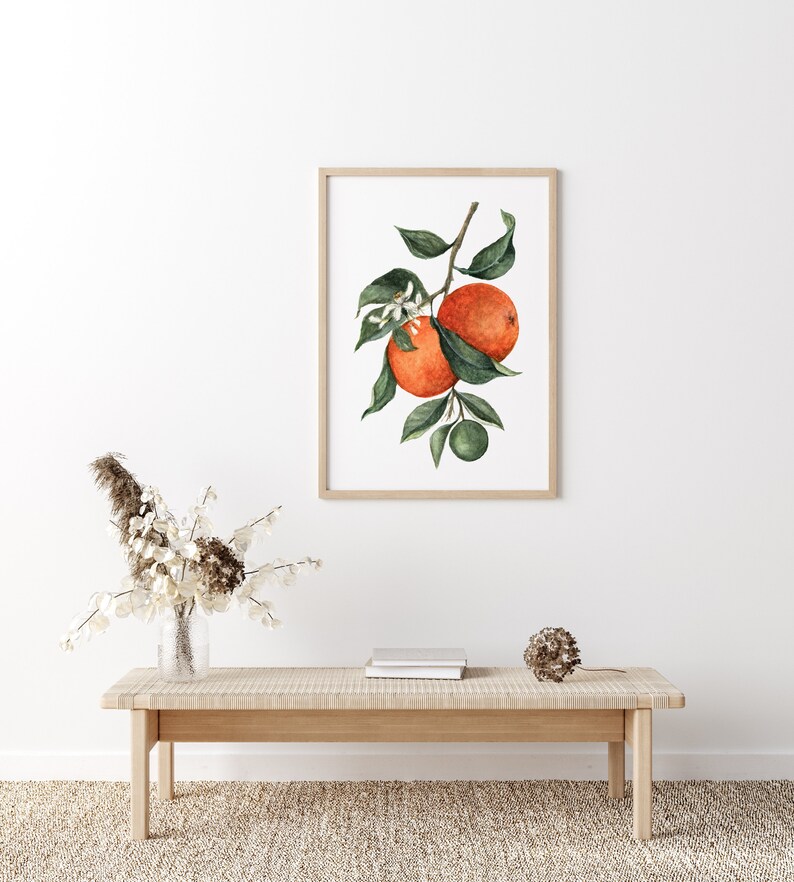 Orange Wall Art, Fruit Art Print, Watercolor Orange Fruit Art Print image 3