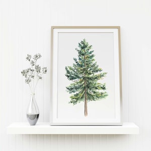 Pine Tree Print, Watercolor Painting, Botanical Art Print, Minimalist Home Decor