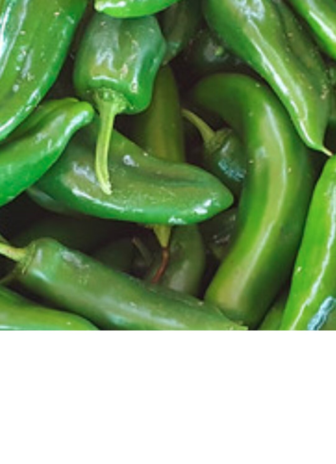 Jalapeno Seeds 2023 Harvest 25 Seeds Etsy