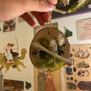 Bone Ornament/Wall Decor