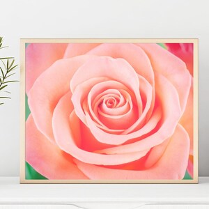 Floral Print, Flower Photos, Printable Art, Home Decor, Floral Wall Art, Digital Download, Modern Wall Art, Peach Rose, Printable