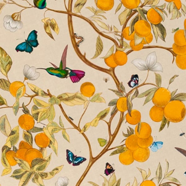 Sunny Afternoon in the  Lemon Grove Wallpaper