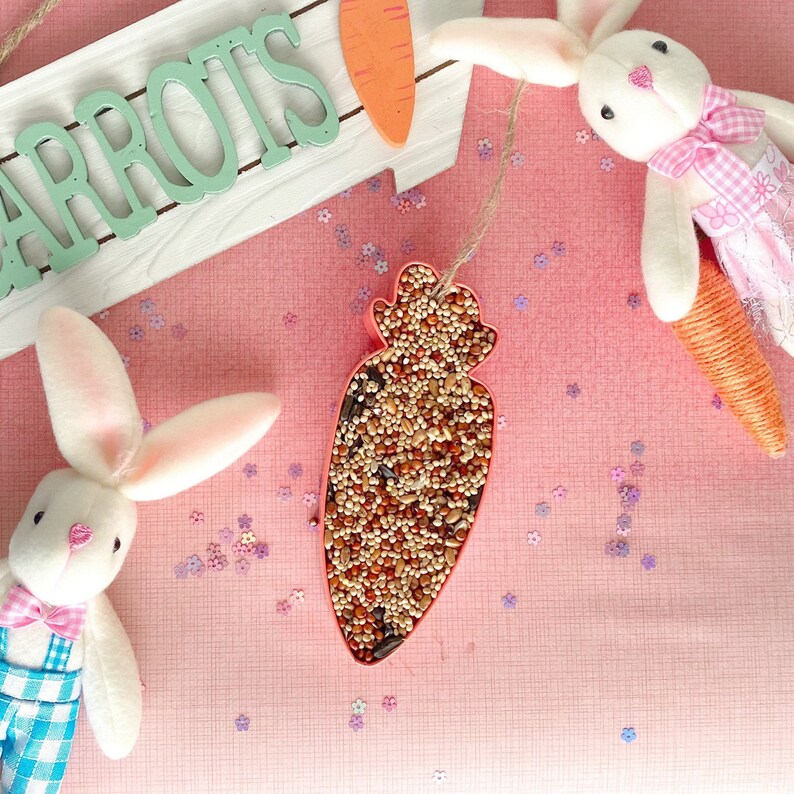 Spring Bird Feeder Kit Easter DIY Gift Best Easter Gifts Etsy