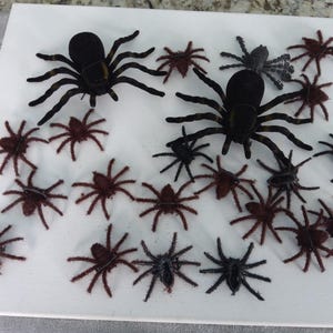 spiders (22) Halloween decor, various sizes