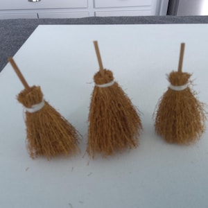 miniature witch broom (3)