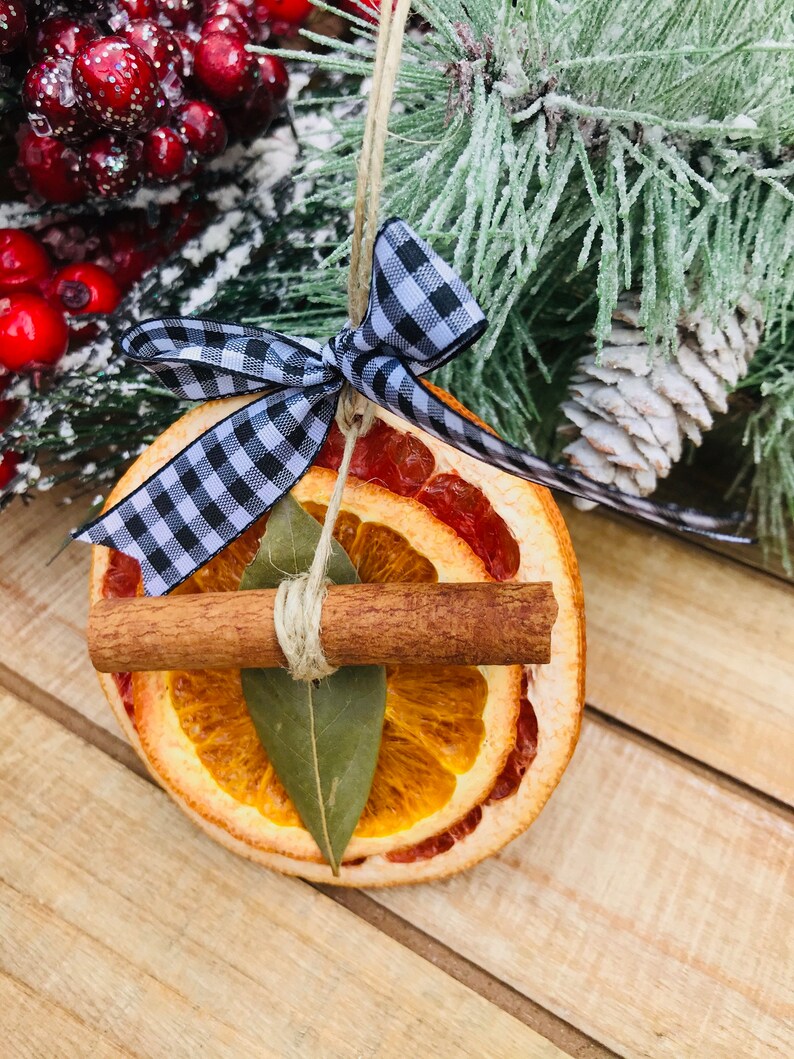 Dried Citrus Orange Christmas Ornaments All Natural Etsy