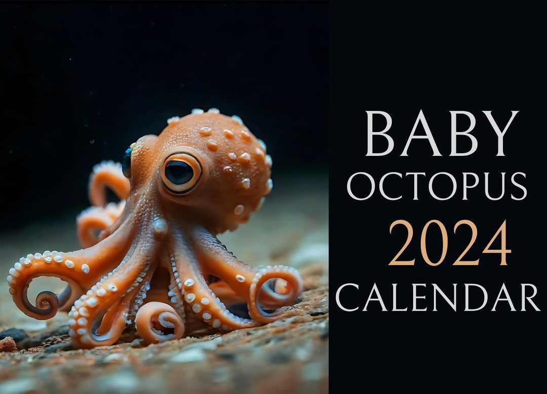 Baby Octopus Wall Calendar 2025 /2025 Calendar / Octopus Calendar 2025