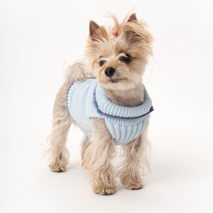 Dog sweater made of organic merino wool | Hand-knitted | Dog sweater with turtleneck | Dog coat | Animal jackets | Dog clothing | Model Mia