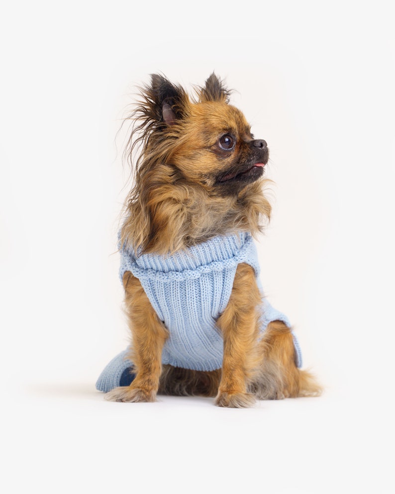 Dog sweater made of organic merino wool Hand-knitted Dog sweater with turtleneck Dog coat Animal jackets Dog clothing Model Mia image 3