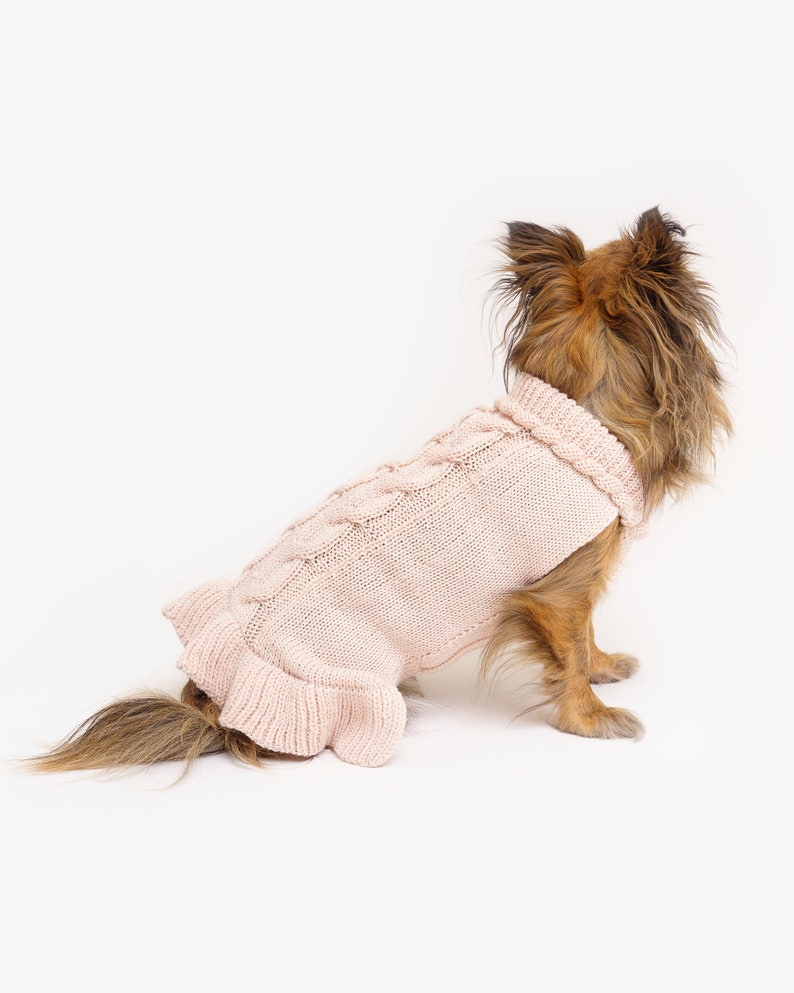 Dog sweater made of organic merino wool Hand-knitted Dog sweater with turtleneck Dog coat Animal jackets Dog clothing Model Mia Puderrosa