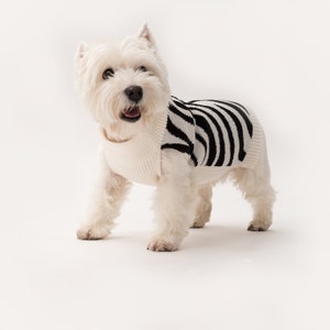 Hundepullover aus Bio-Schurwolle Handgestrickt Hundepulli Hundemantel Tierjacken und Pullover Hundebekleidung Modell Zoo-Zebra Bild 2