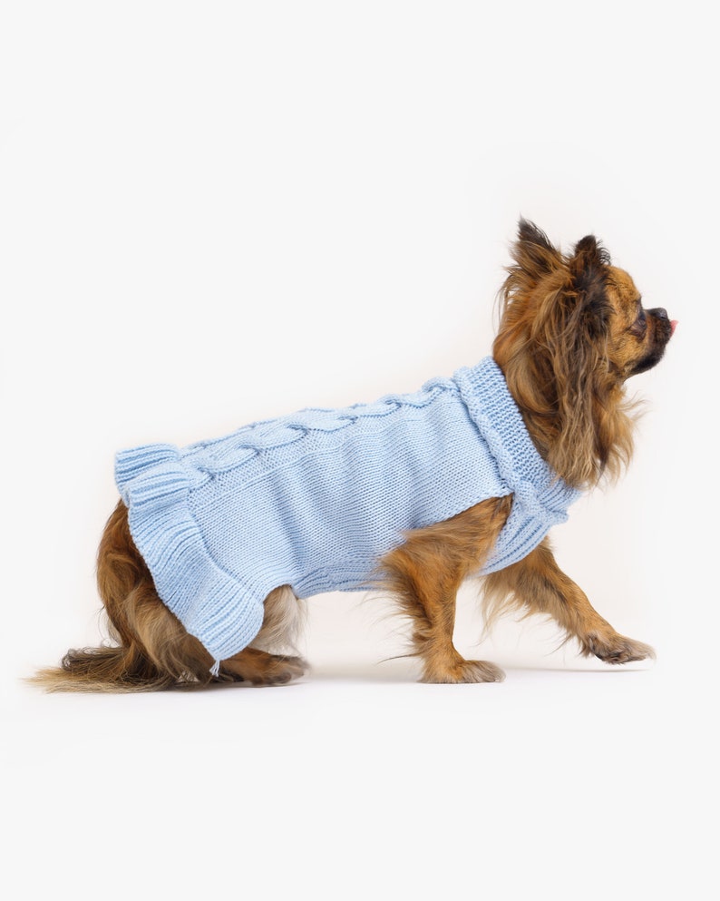 Dog sweater made of organic merino wool Hand-knitted Dog sweater with turtleneck Dog coat Animal jackets Dog clothing Model Mia Himmelsblau