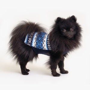 Dog sweater made of organic new wool | Hand-knitted | Dog sweater | Dog coat | Animal jackets and wool sweaters | Dog clothing | Model Alex(a)