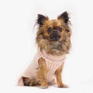 Dog sweater made of organic merino wool Hand-knitted Dog sweater with turtleneck Dog coat Animal jackets Dog clothing Model Mia image 7