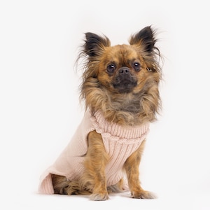 Dog sweater made of organic merino wool | Hand-knitted | Dog sweater with turtleneck | Dog coat | Animal jackets | Dog clothing | Model Mia
