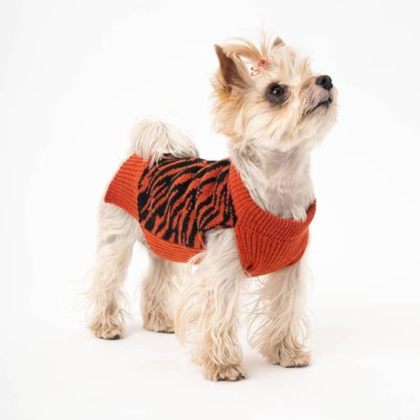 Hundepullover aus Bio-Schurwolle| Handgestrickt | Hundepulli | Hundemantel | Tierjacken und Pullover | Hundebekleidung | Modell Zoo -Tiger