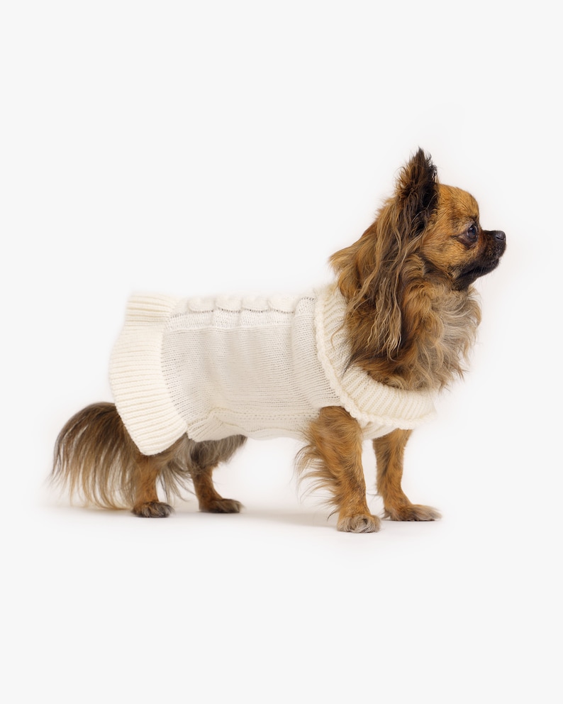 Dog sweater made of organic merino wool Hand-knitted Dog sweater with turtleneck Dog coat Animal jackets Dog clothing Model Mia Weiß/Creme