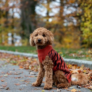 Dog sweater made of organic new wool | Hand-knitted | Dog sweater | Dog coat | Animal jackets and sweaters | Dog clothing | Model Zoo -Tiger