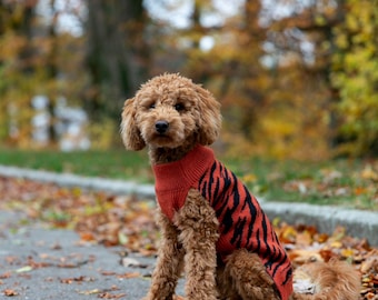 Dog sweater made of organic new wool | Hand-knitted | Dog sweater | Dog coat | Pet jackets and sweaters | Dog clothing | Model Zoo - Tiger
